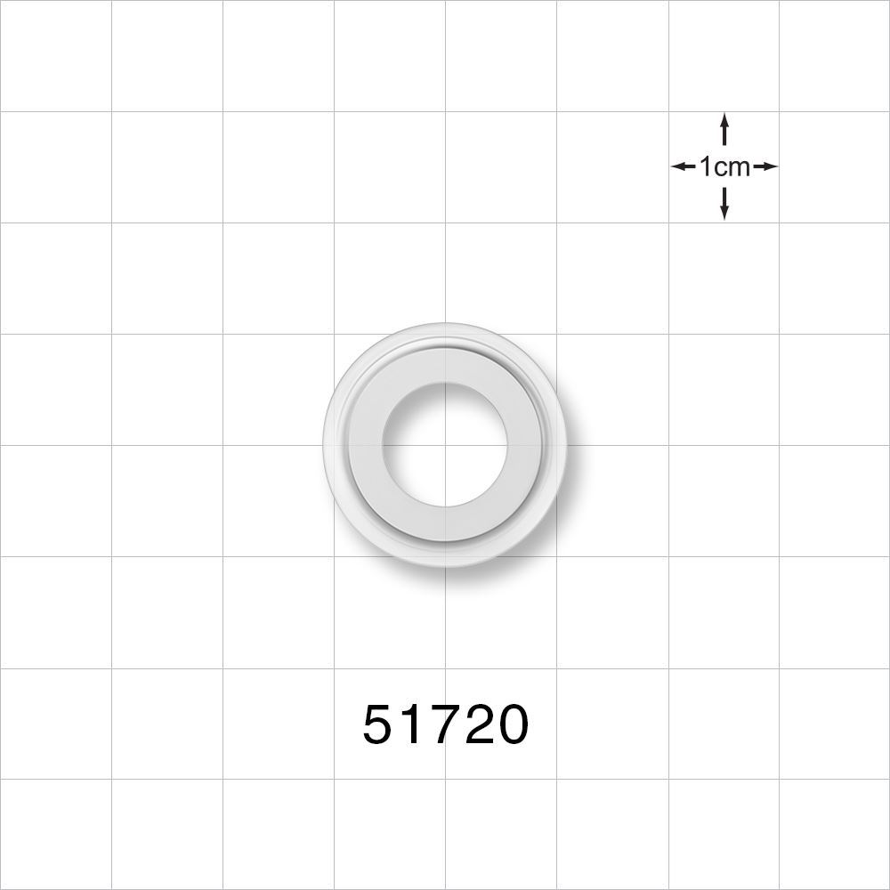 Sanitary Flange Gasket